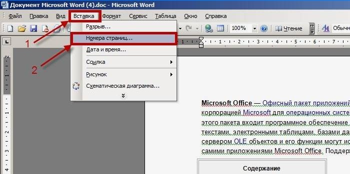 Oldalak számozása a Word 2003 programban