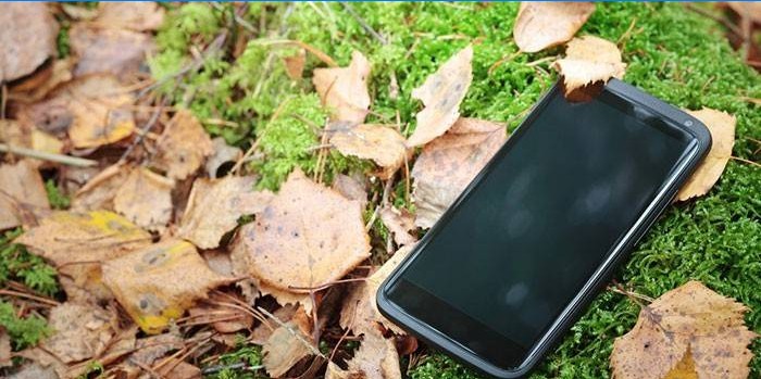 Mobiltelefon a fűben