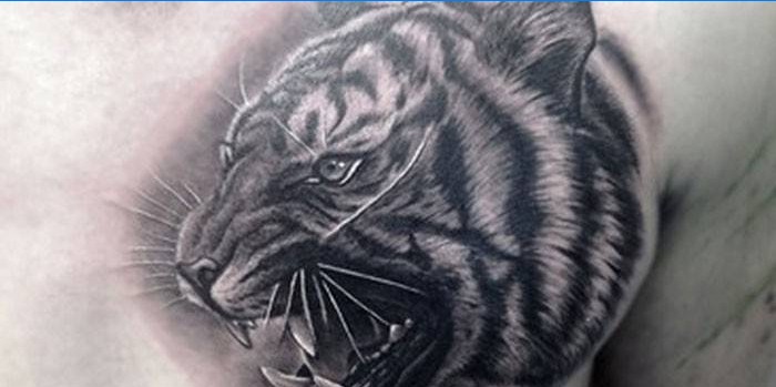 Tigris fej tetoválás