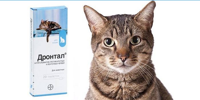 Tablettacsomag macskáknak Drontal