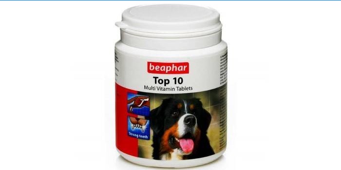 Beaphar TOP 10 multi-vitamin lap