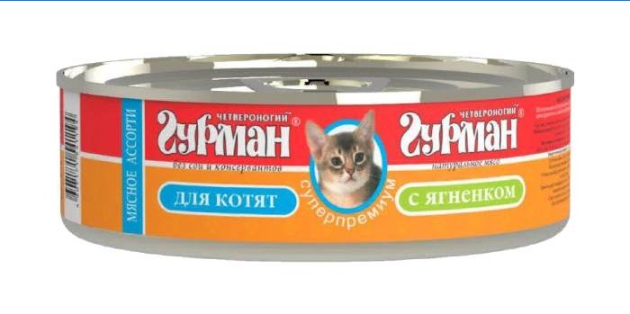 Négylábú ínyenc cica