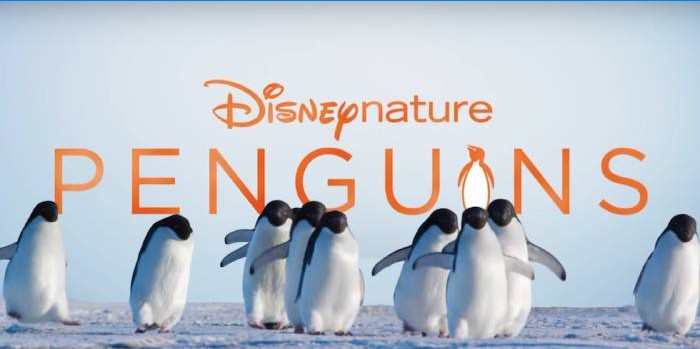 Disneynature pingvinek