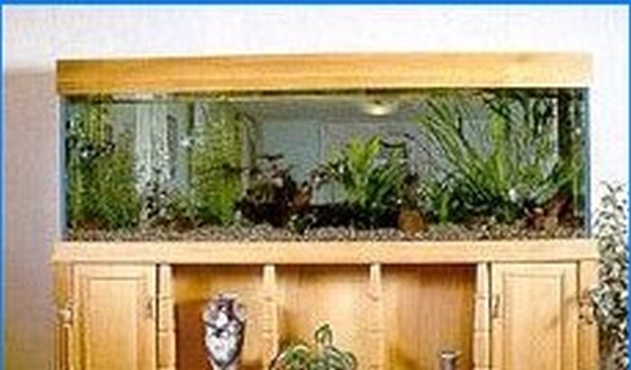 Az otthoni akváriumok típusai