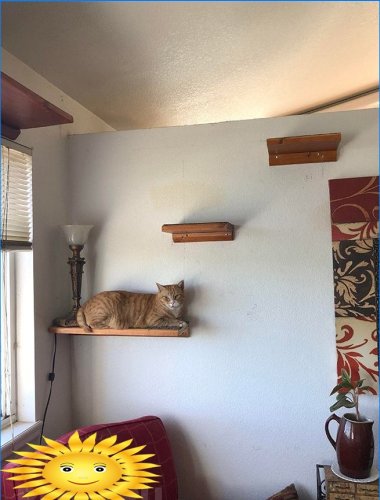 Macska polcok a falon