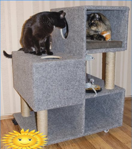 Macska ház labirintus