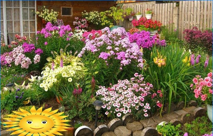 Hogyan készítsünk virágágyást és ültessünk virágot, amely egész nyáron virágzik
