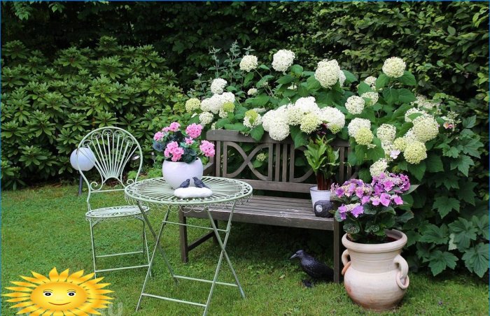 Hogyan lehet elrendezni egy romantikus kertet az oldalon?