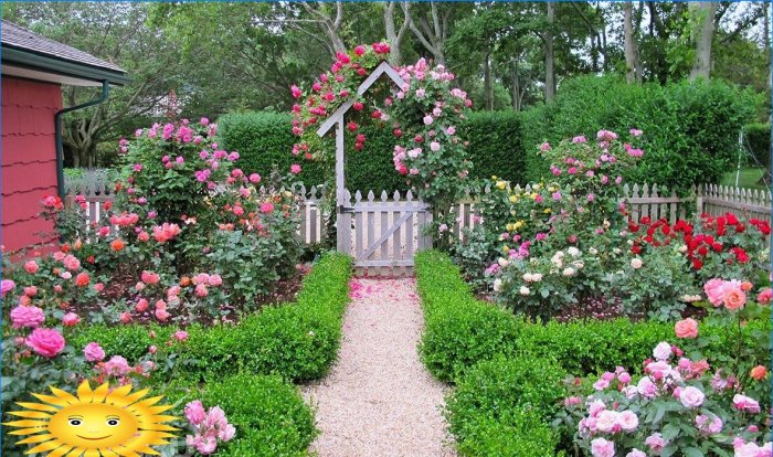 Hogyan lehet elrendezni egy romantikus kertet az oldalon?