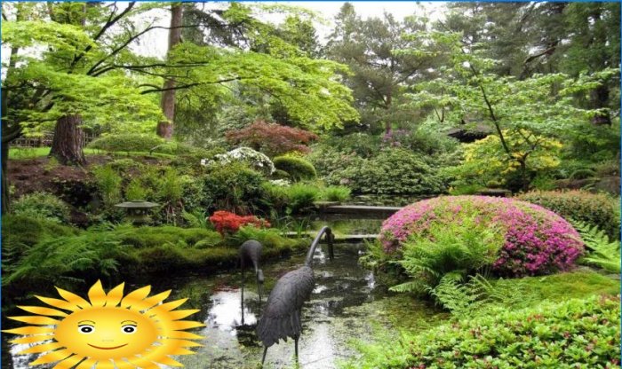A japán kert az etnikai stílus klasszikus példája a tájtervezésben
