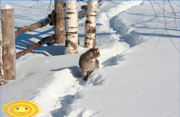 Fotógyűjtemény: orosz tél a faluban