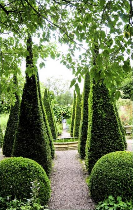 Klasszikus boxwood kert