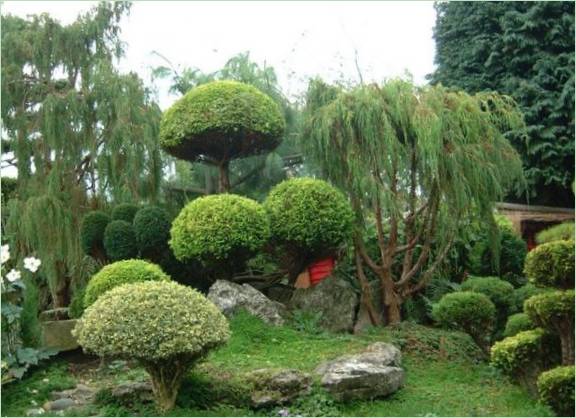 Japán stílusú kertépítés