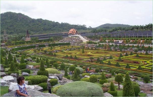 Nong Nooch trópusi park Thaiföldön