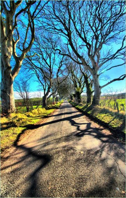 Dark Hedges bükkös sikátor a Trónok harcából