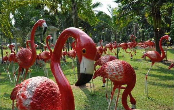 Nong Nooch trópusi park Thaiföldön