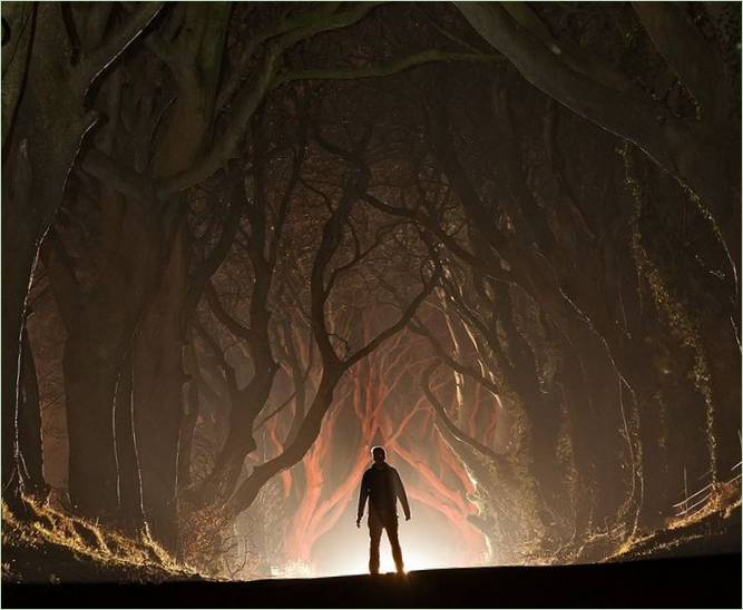 A Dark Hedges bükkös sikátor a Trónok harcából