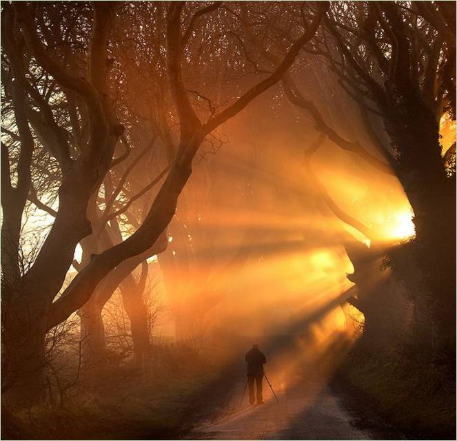 A Dark Hedges bükkös sikátor a Trónok harcából