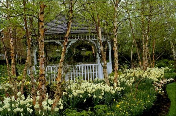 Ötletek kerti pergolákhoz: Hatszögletű fa pergola Kerti pergola ötletek: hatszögletű fa pergola