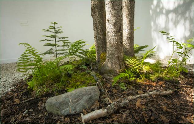 Kiállítás a Nature by Johan Selbing és Anouk Vogel jóvoltából
