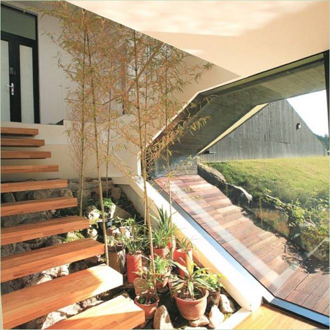 Fából készült lépcső egy üvegfal előtt a Villa Troojet belső terében