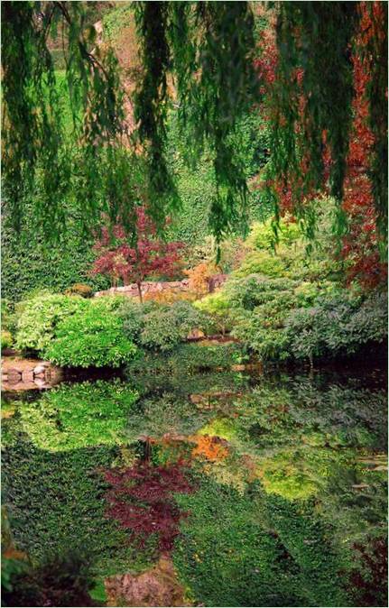 Butchart Garden Brit Kolumbiában