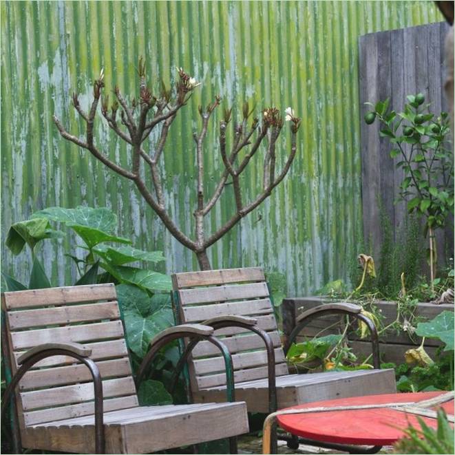 Belsőépítészet Marrickville Hause