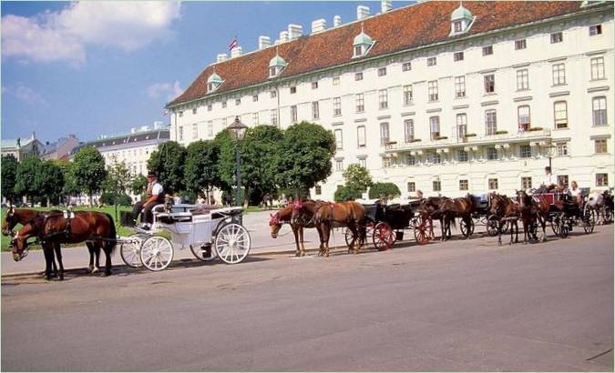Lovak, akik embereket húznak a városban