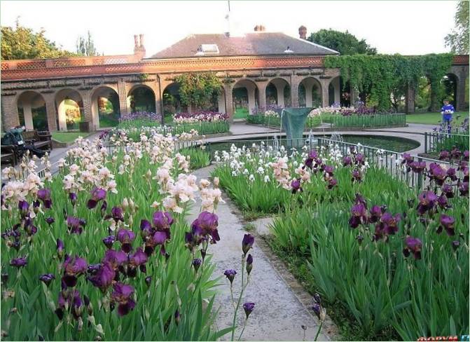 Denmans Lane Gardens Angliában