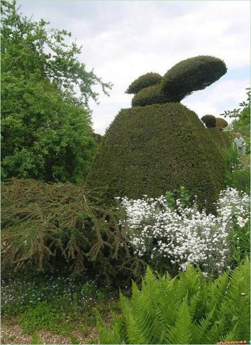 Denmans Lane Gardens Angliában