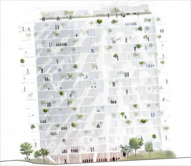 Arbre Blanc/Fehér fa Sou Fujimoto Architects tervei szerint