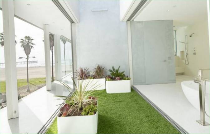 Beltéri növények a Flip Flop House-ban