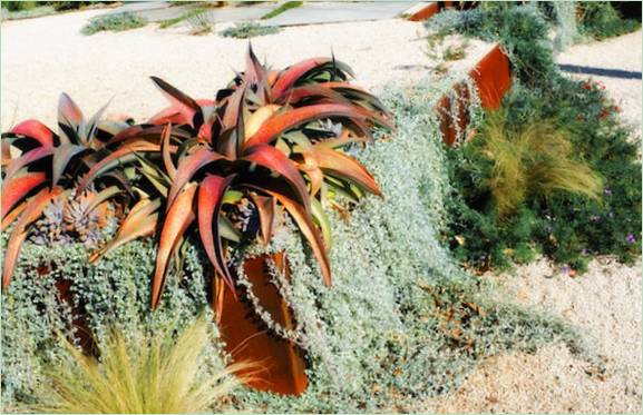 Kerttervezés xeriscapinggel