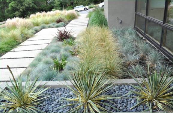Kerttervezés xeriscapinggel