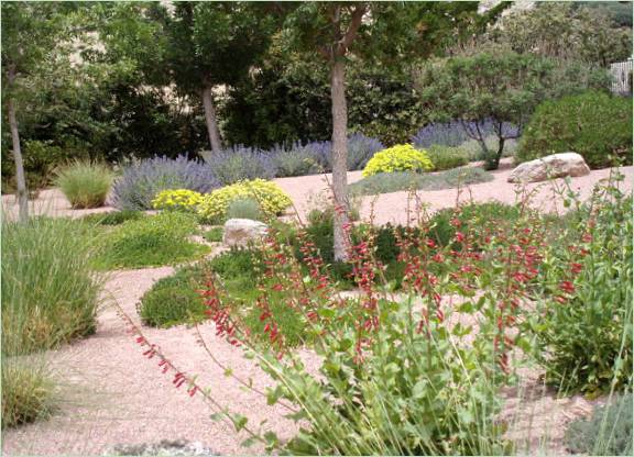 Kerttervezés xeriscapinggel