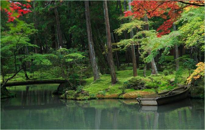 A kiotói Saiho-ji mohakertje