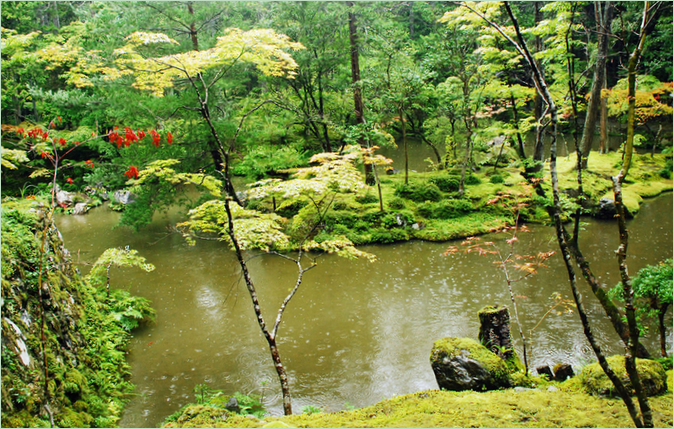 A Saiho-ji mohakert Kiotóban