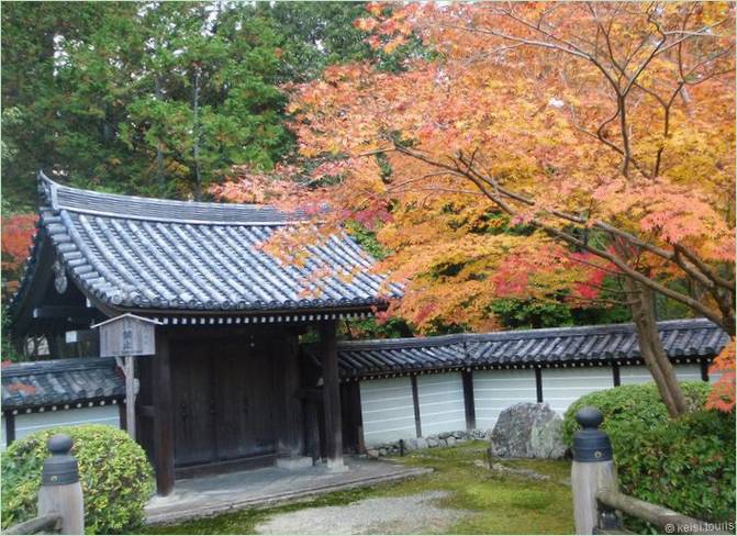 A kiotói Saiho-ji mohakertje