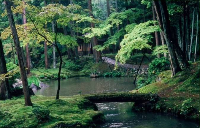 A Saiho-ji mohakert Kiotóban