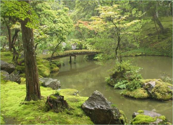 A kiotói Saiho-ji mohakertje