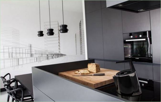 Szürke apartman. Konyha