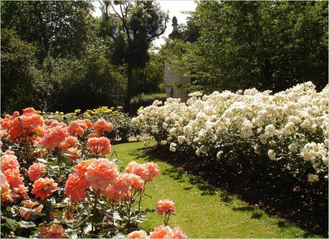 Regents Park kertépítés Londonban