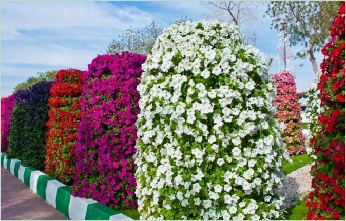 Ai Ain Paradise Gardens az Arab Emírségekben