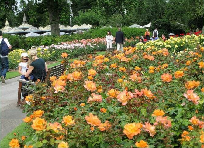 Regents Park kertépítés Londonban