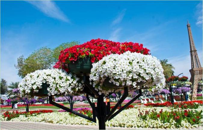 Ai Ain Paradise Gardens az Emírségekben
